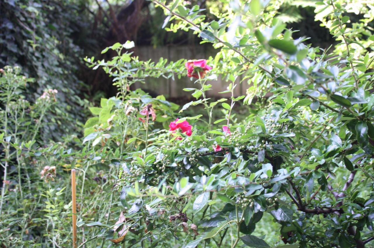 Appartamento Silentio Schletterstrasse Lipsia Camera foto